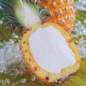 BINDI Ananas Ripieno Pineapple – Whole Pineapple Shell Filled with Sorbet
Close-Up of BINDI Ananas Ripieno Pineapple Sorbet Served in a Pineapple Shell
BINDI Ananas Ripieno Pineapple Packaging - 500g Frozen Dessert